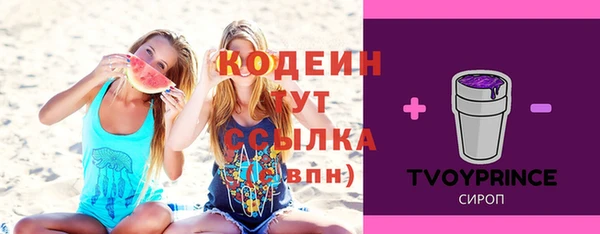 гашик Апатиты