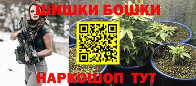 тгк Бийск