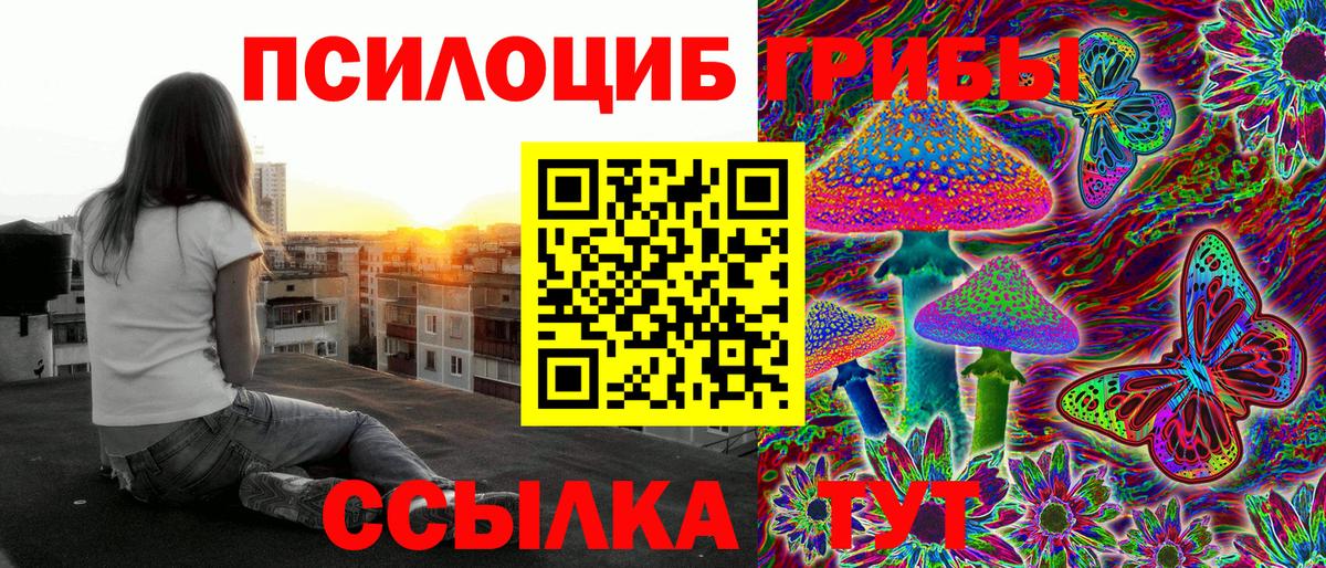 Галлюциногенные грибы Psilocybine cubensis Боровичи