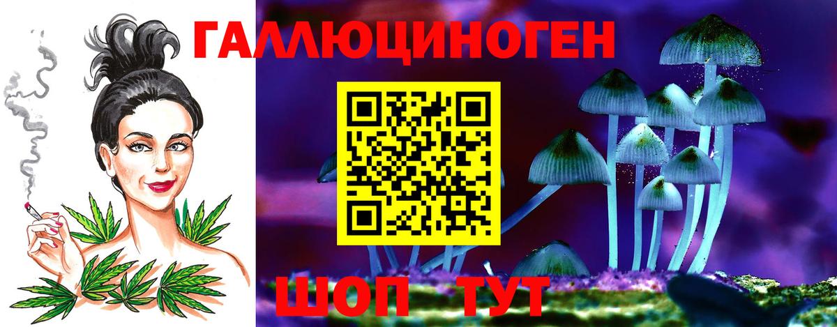 Псилоцибиновые грибы Psilocybine cubensis  Вход с VPN  Боровичи 